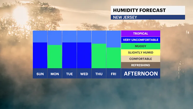FB_Dewpoint_Daily.png