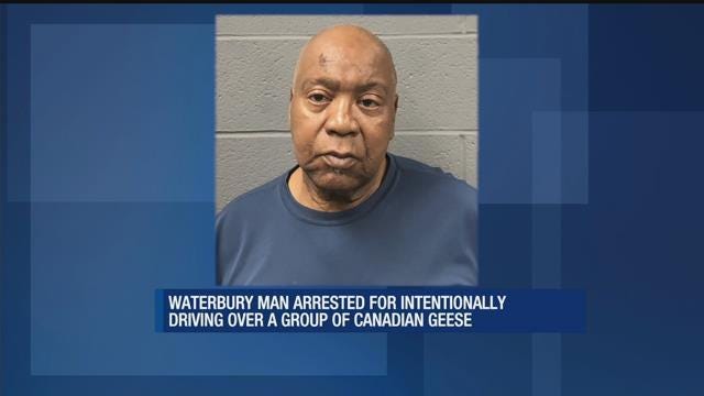 Article 132346 Thumbnail