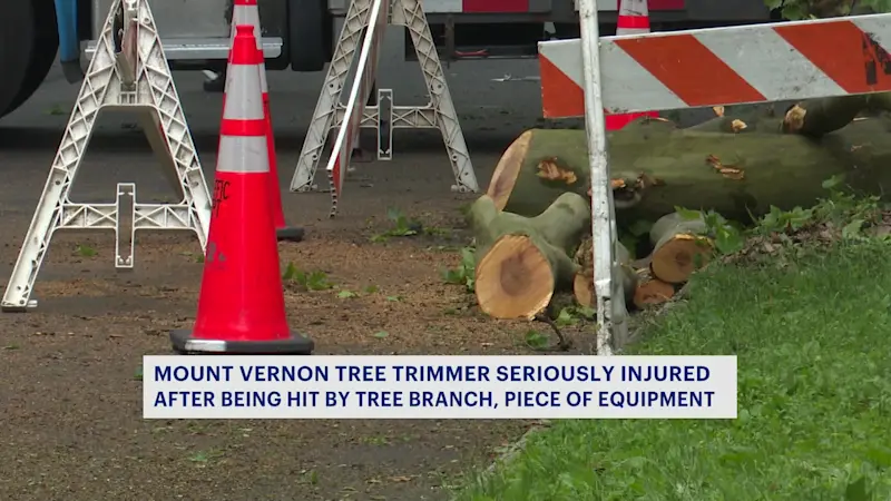 Story image: Mount Vernon tree trimmer in critical condition after work accident