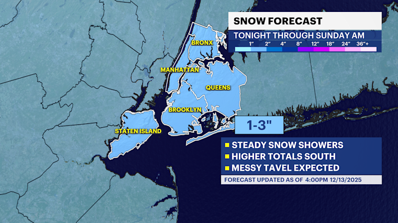 Story image: STORM WATCH: Overnight snow showers followed by frigid air in The Bronx