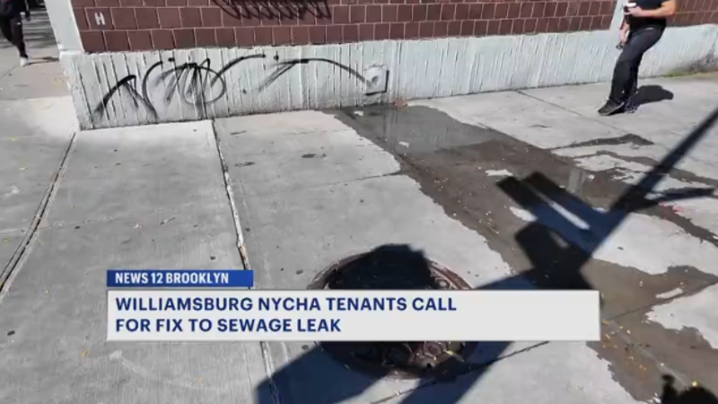 Story image: Sewage leak leaves Brooklyn tenants dodging wastewater outside their building