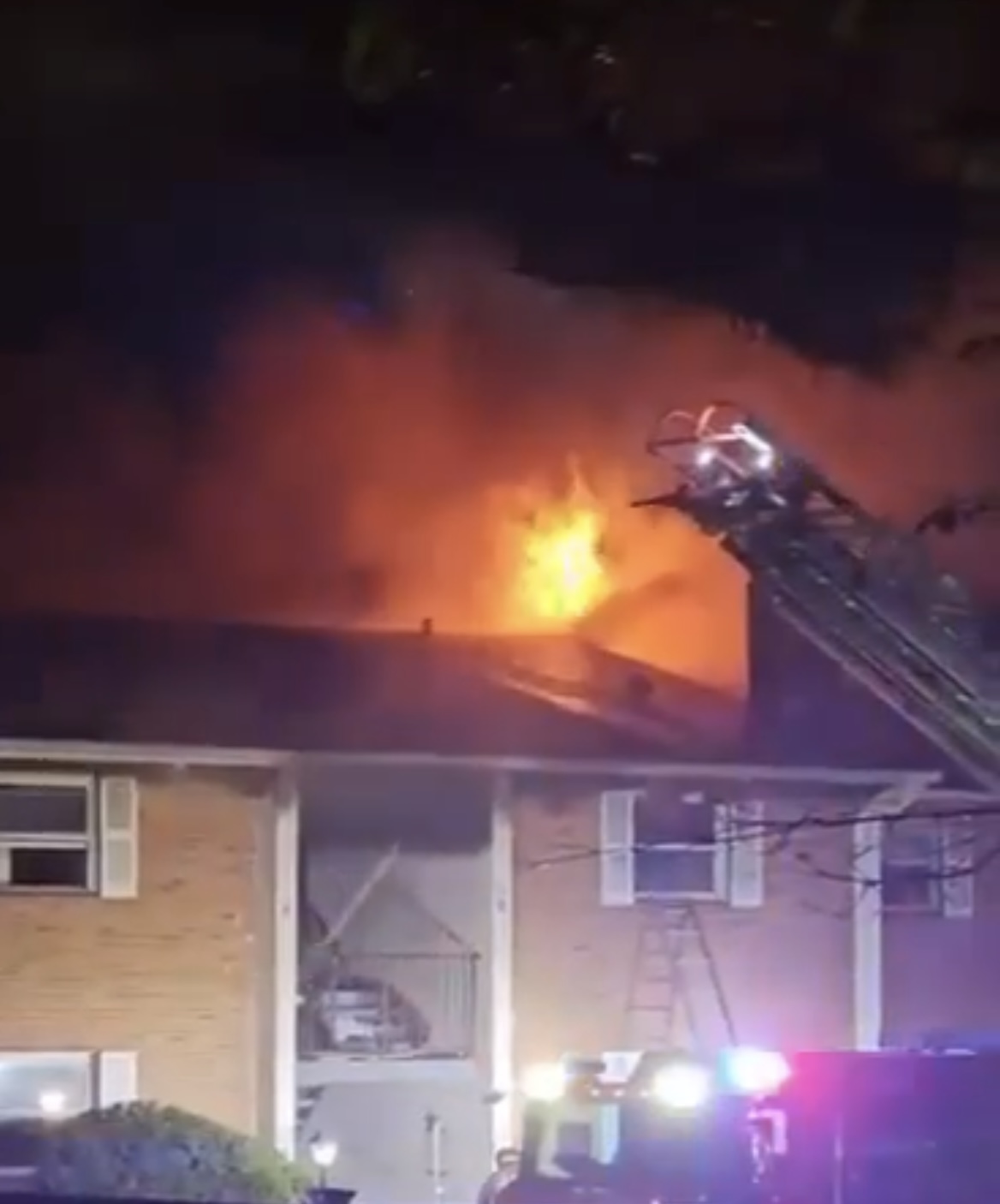 original-33EF5808-E0AB-44EF-B4AB-76E0B05BD698