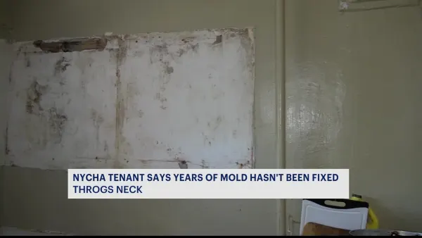Bronx mother says yearslong issues of mold, water damage taking over her life