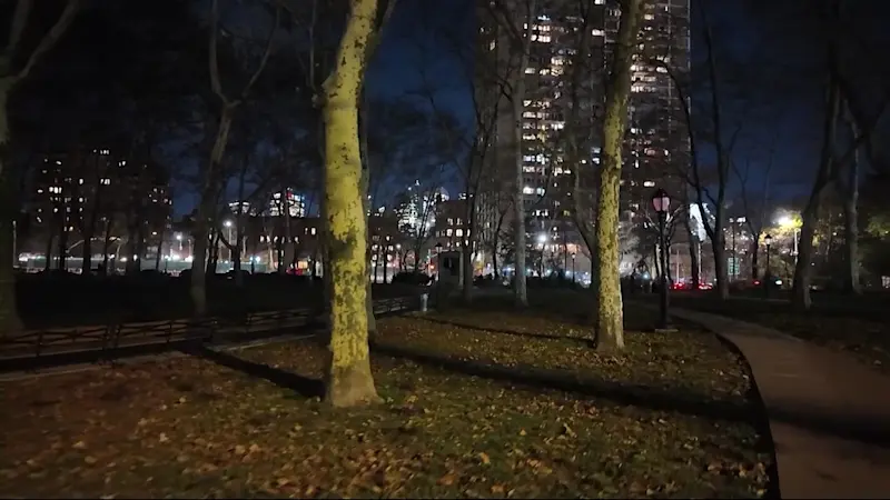Story image: Lack of lights at Cadman Plaza Park cause safety concerns 
