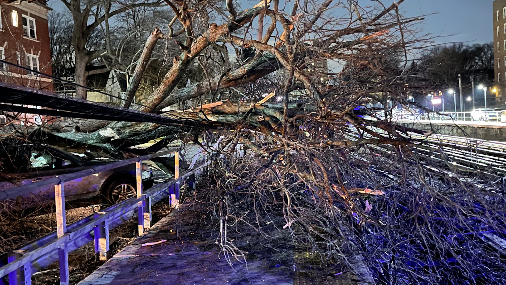 News 12 | Long Island | MTA: LIRR service resumes as normal after ...