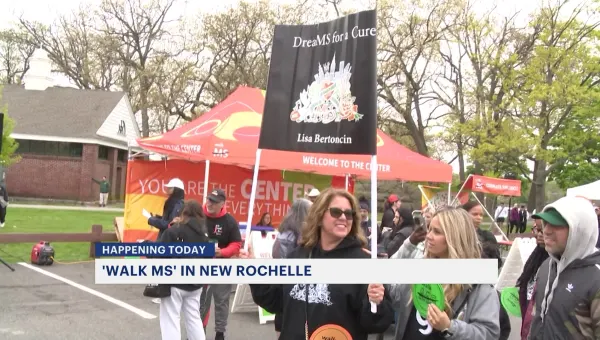 Hundreds walk at Glen Island Park to raise money for multiple sclerosis research