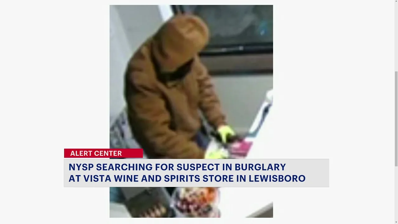 328WCsuspect_2024-03-28-07-20-21