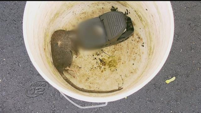 Article 128715 Thumbnail