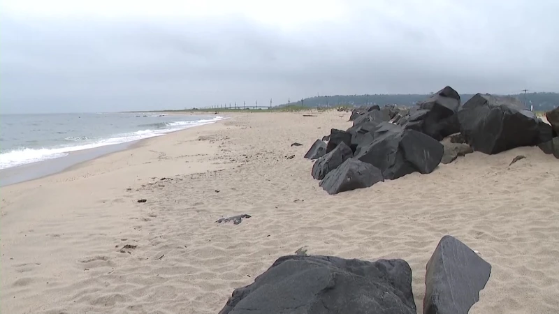 Story image: Best Beaches: Exploring Sandy Hook