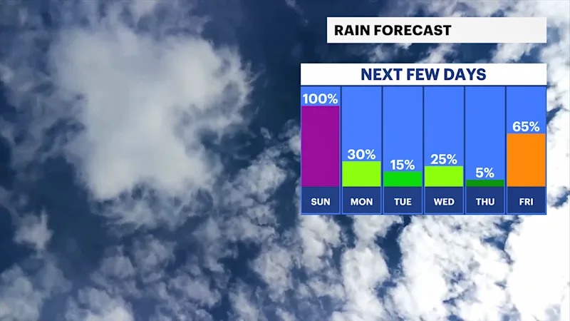 DAILY RAIN.png