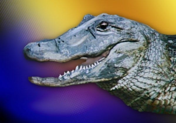 Article 146394 Thumbnail