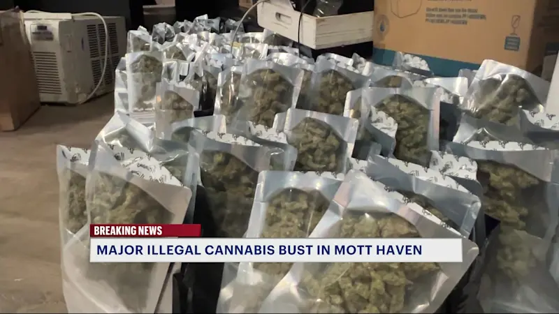 Story image: Illegal Mott Haven cannabis shop raided for a third time