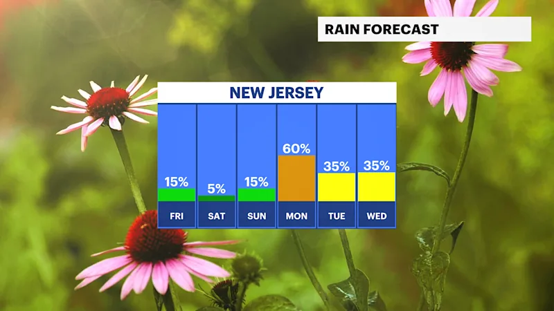 NJRAIN.png