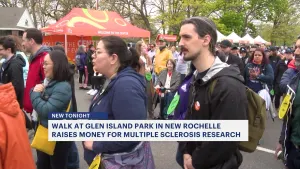 Hundreds walk at Glen Island Park to raise money for multiple sclerosis research