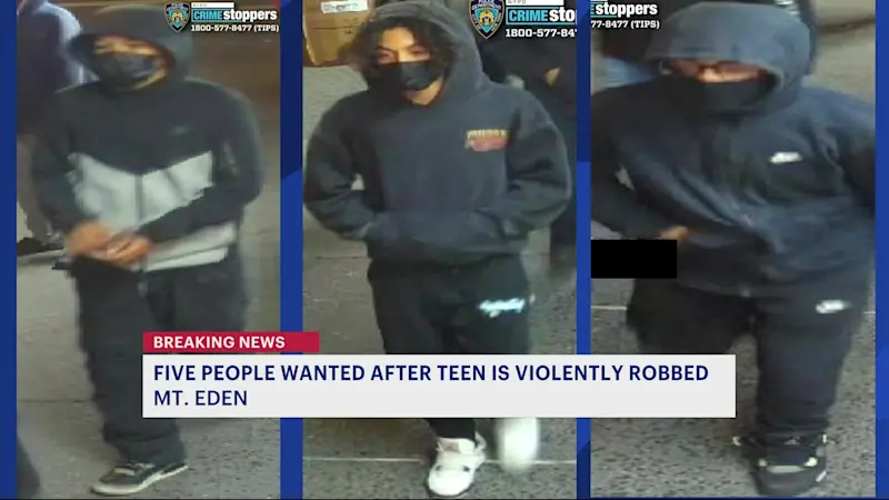 Story image: 5 people on the run after teen violently robbed in Mt. Eden