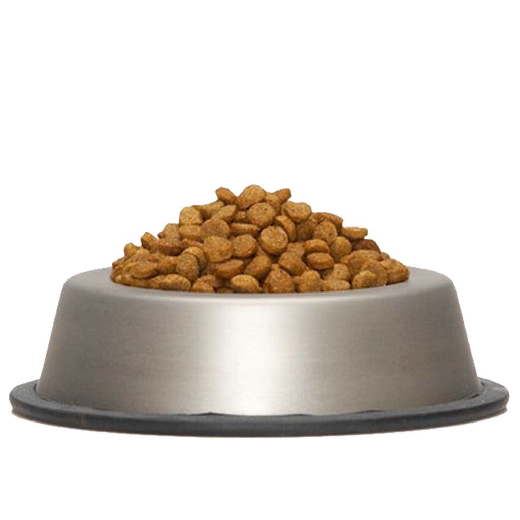 Cans of "Gravy Train" dog food recalled