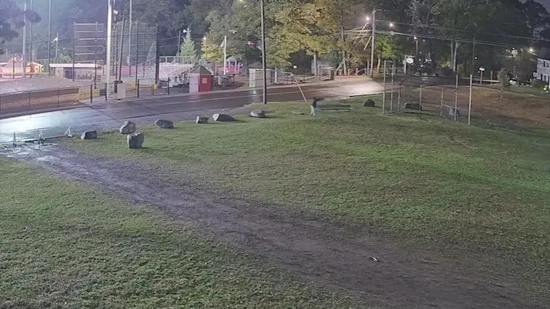 Story image: Video shows gunman fire nine shots at group in Stratford park