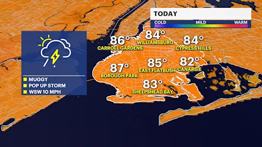 brooklyn today
