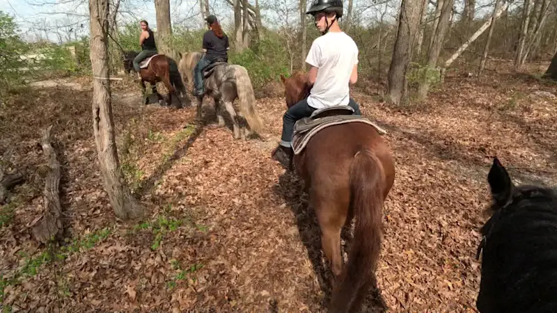 Story image: Saddle up for a fun adventure at Bethpage Equestrian Center
