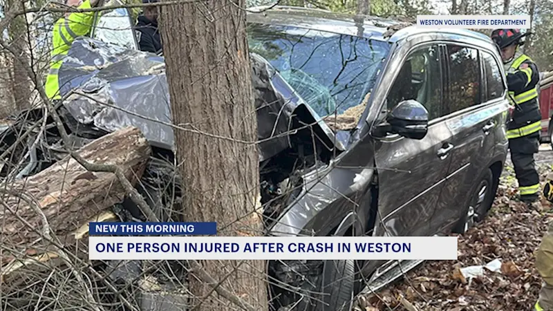 Story image: Driver injured when car crashes into tree in Weston 