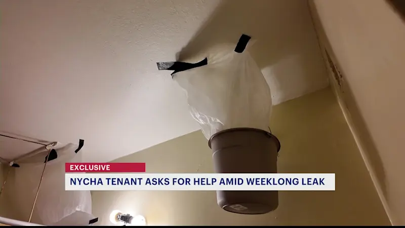 Story image: Exclusive: NYCHA tenant says weeklong leak left bathroom soaked at Louis Heaton Pink Houses