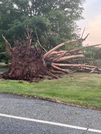 Story image: Surveying storm damage in Middlesex and Hunterdon counties