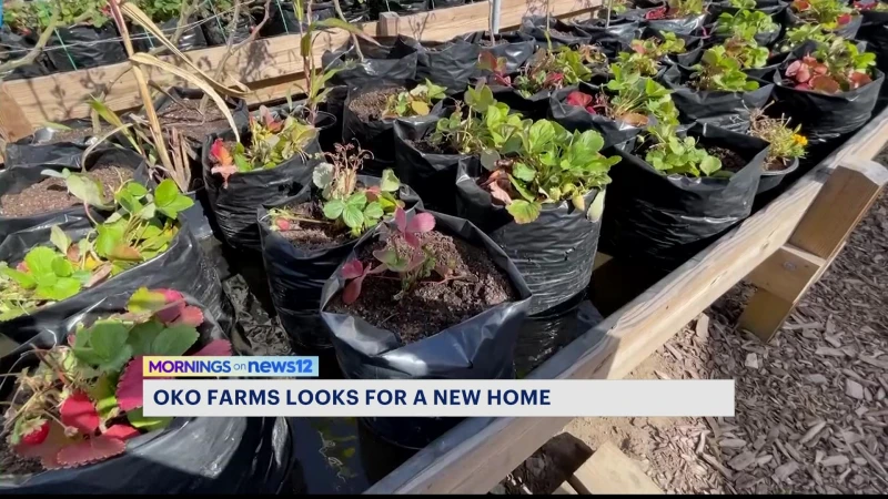 Story image: Oko Farms looking for new space for its urban farm