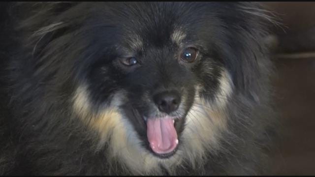 Article 107008 Thumbnail