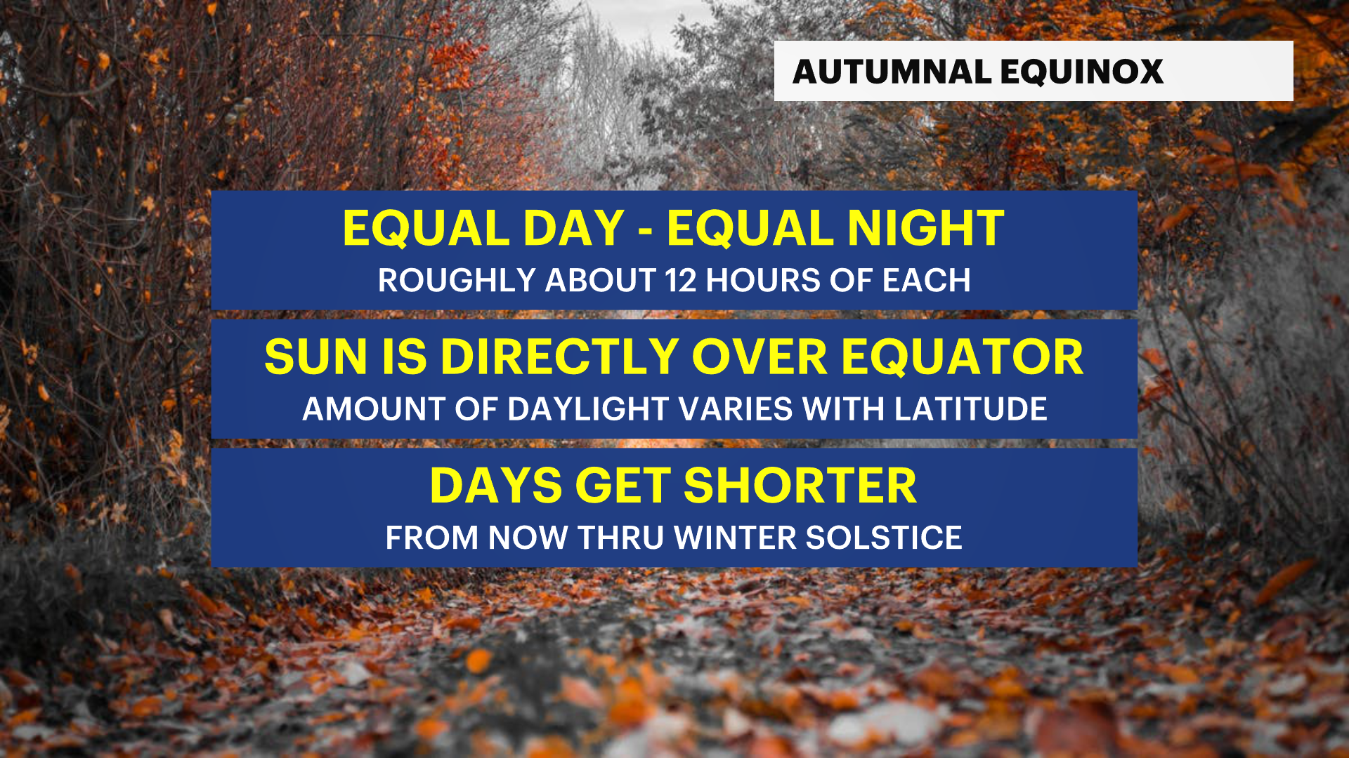 MP EQUINOX HEADLINES.png