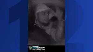 NYPD: 2 suspects wanted for robbing taxi driver at gunpoint in Morris Heights