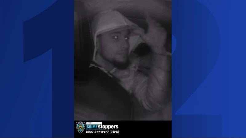 Story image: NYPD: 2 suspects wanted for robbing taxi driver at gunpoint in Morris Heights