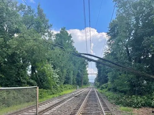 Story image: Fallen tree disrupts some New Jersey Transit service
