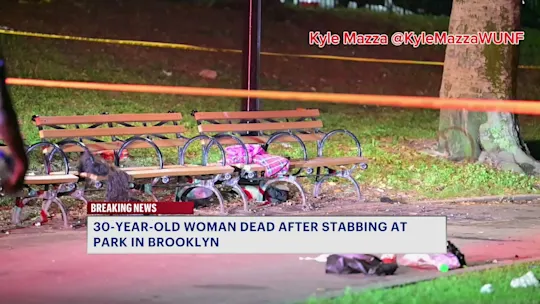 klnFatalparkstabbing5A_2026-08-18-05-24-28