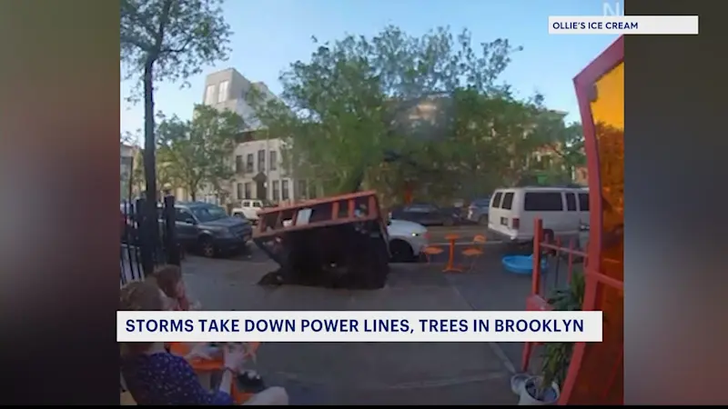 Story image: Downed trees in Bushwick due to high winds, rain and lightning
