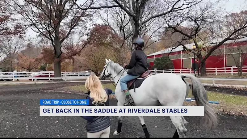 Story image: Visit Riverdale Stables - a horse lover's oasis in the Bronx