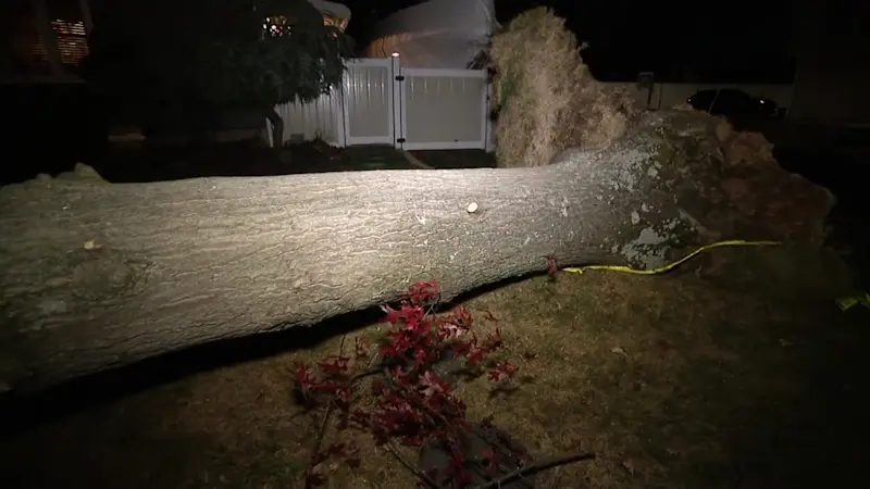 Story image: Strong winds cause power outages across many Long Island communities