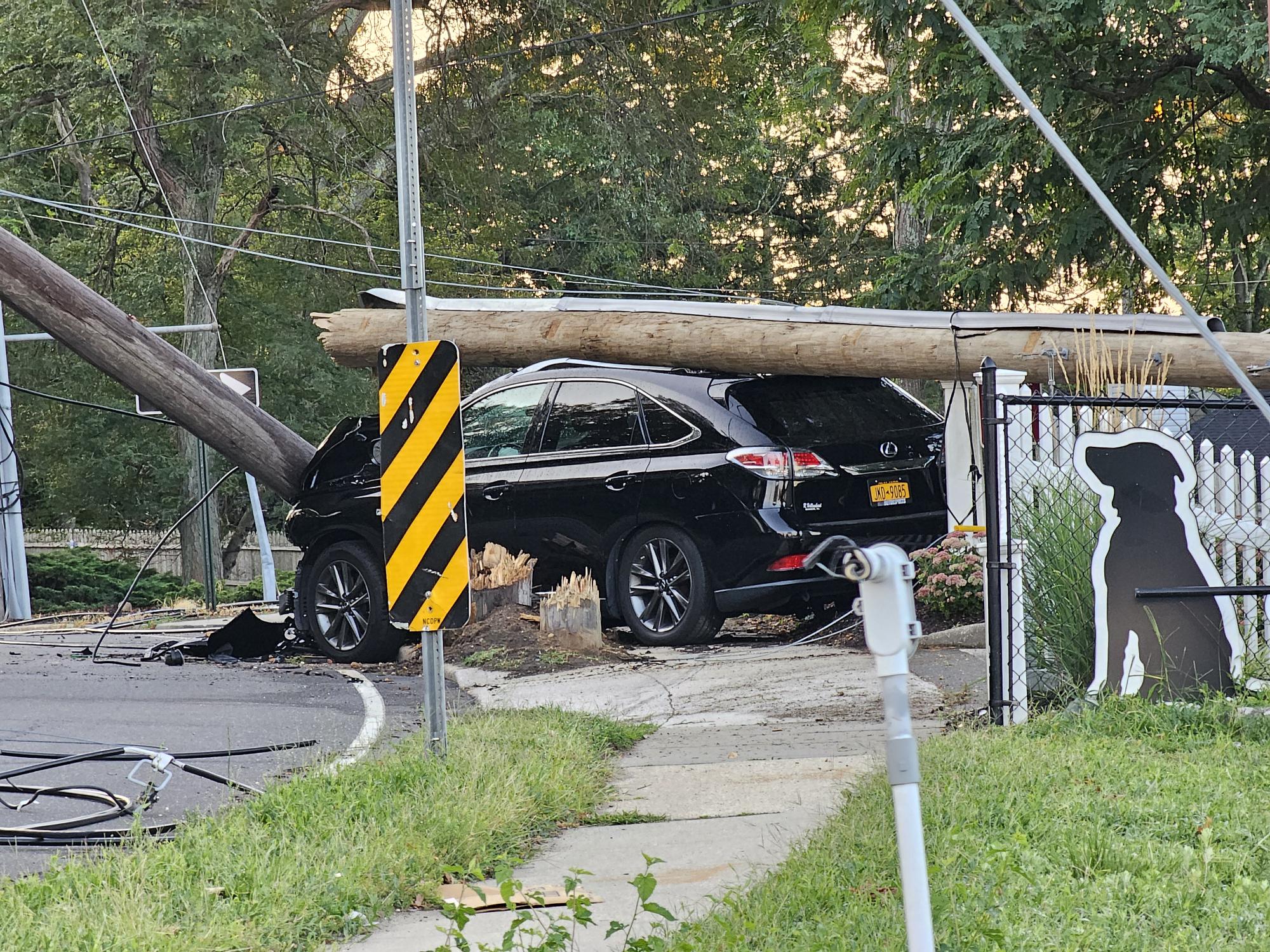 shared image (1).jpg