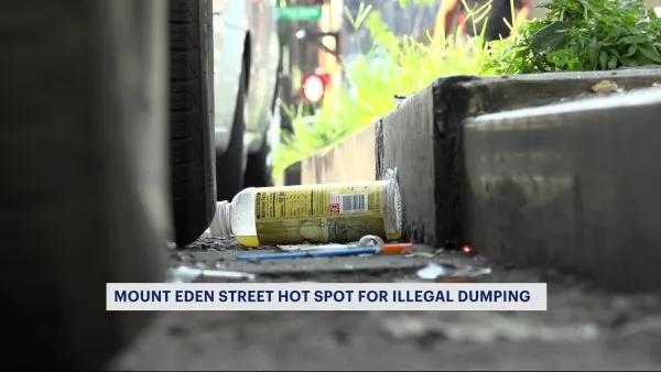 DSNY: Street in Mount Eden is a hot spot for illegal dumping