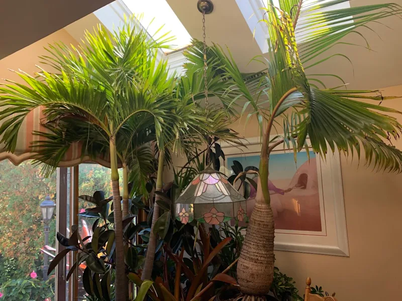 COVER PHOTO.jpg