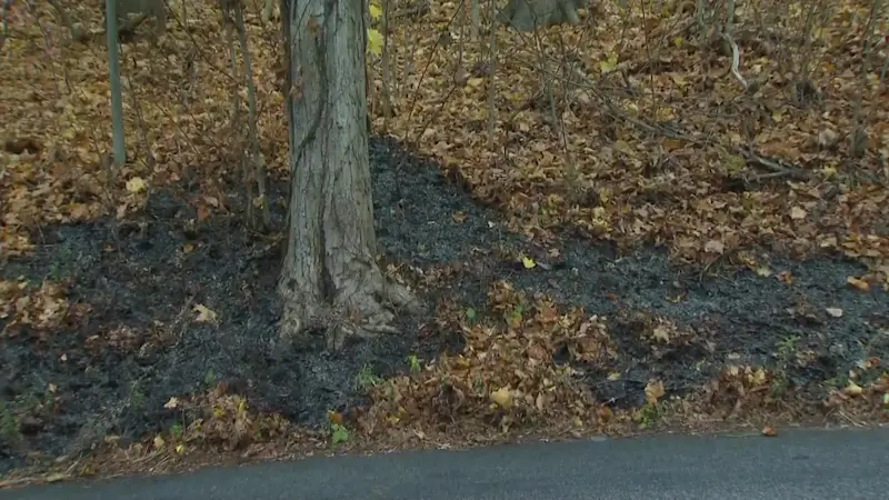 Story image: Downed lines spark brush fire in Briarcliff Manor as crews quickly contain flames