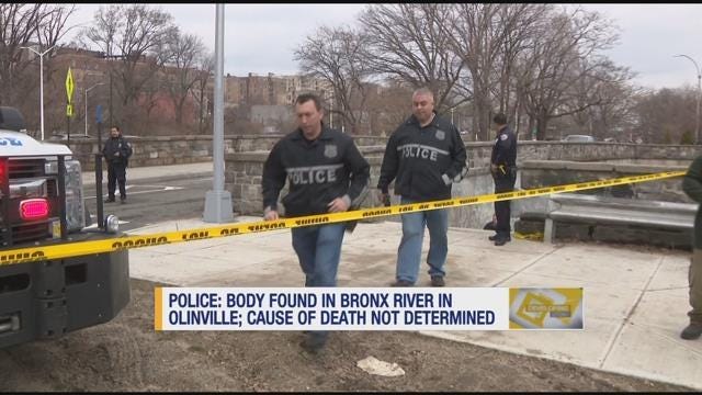 Article 107758 Thumbnail