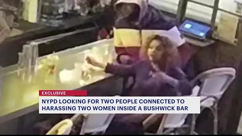 Story image: Police seek suspects in Bushwick bar assault