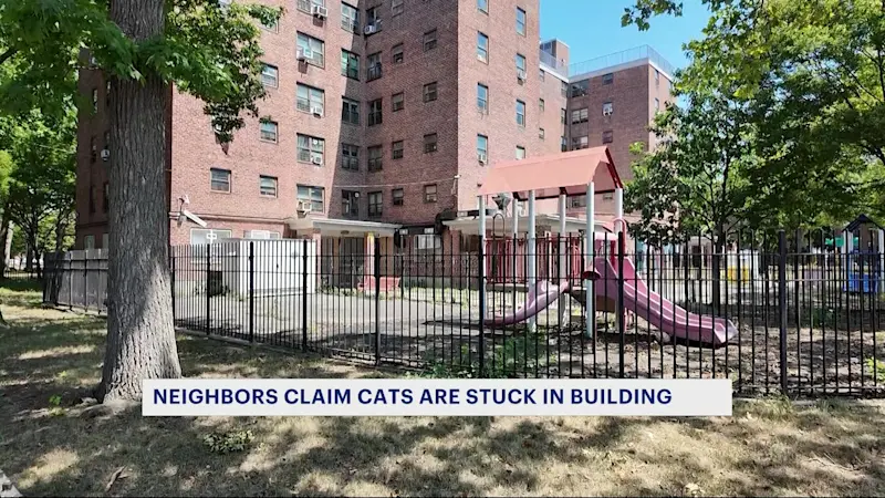 Story image: Neighbors outraged over claims that cats were trapped in vacant Sheepshead Bay building