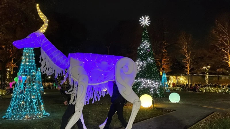 Story image: Holiday lights illuminate the Bronx Zoo