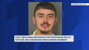 Port Jervis man sentenced to 5 years in prison for pointing BB gun at officer