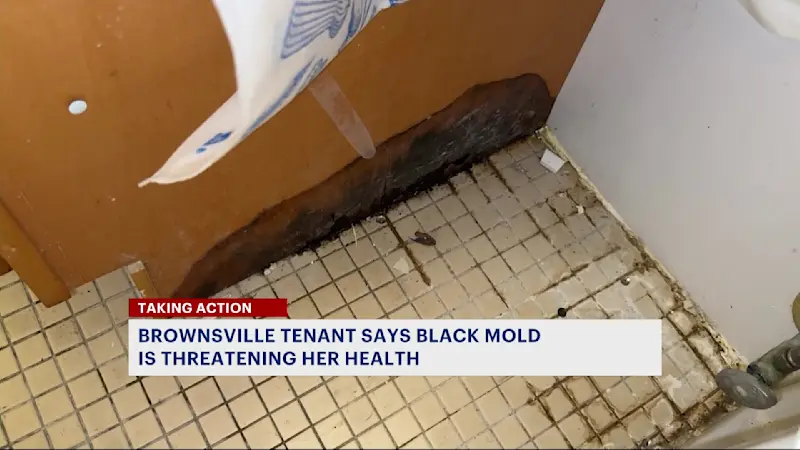 Story image: Brownsville woman says black mold in bathroom is making her sick