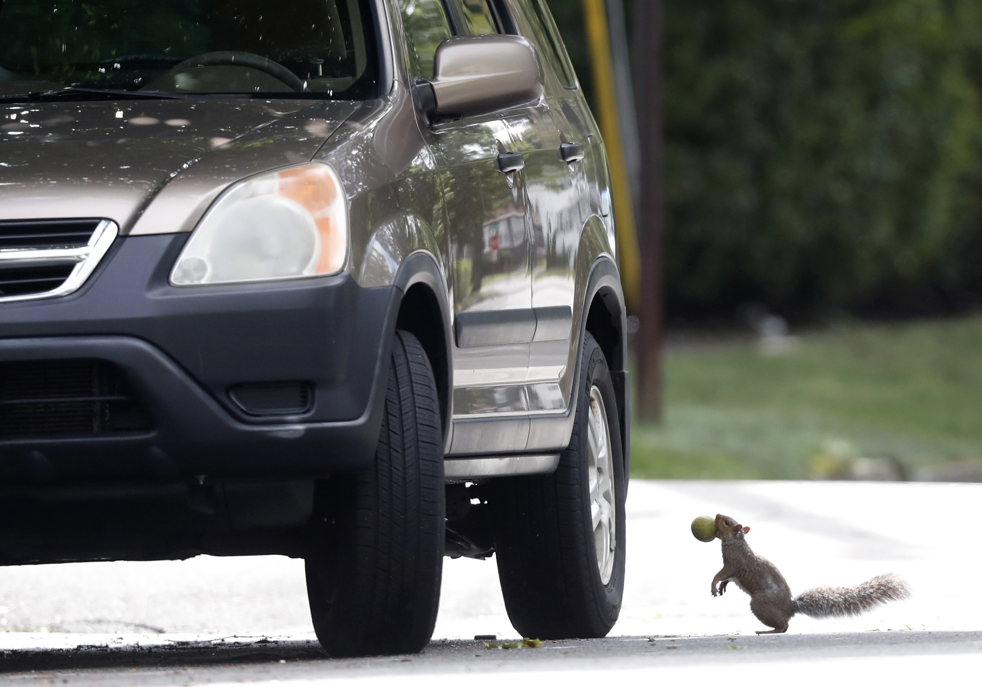 Article 284766 Hero Image