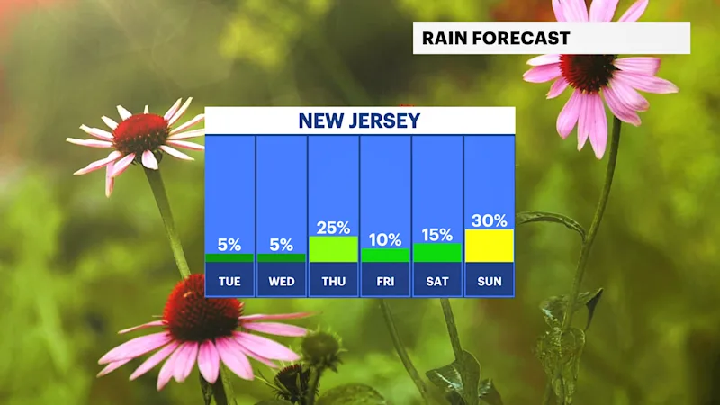 NJ_3.png