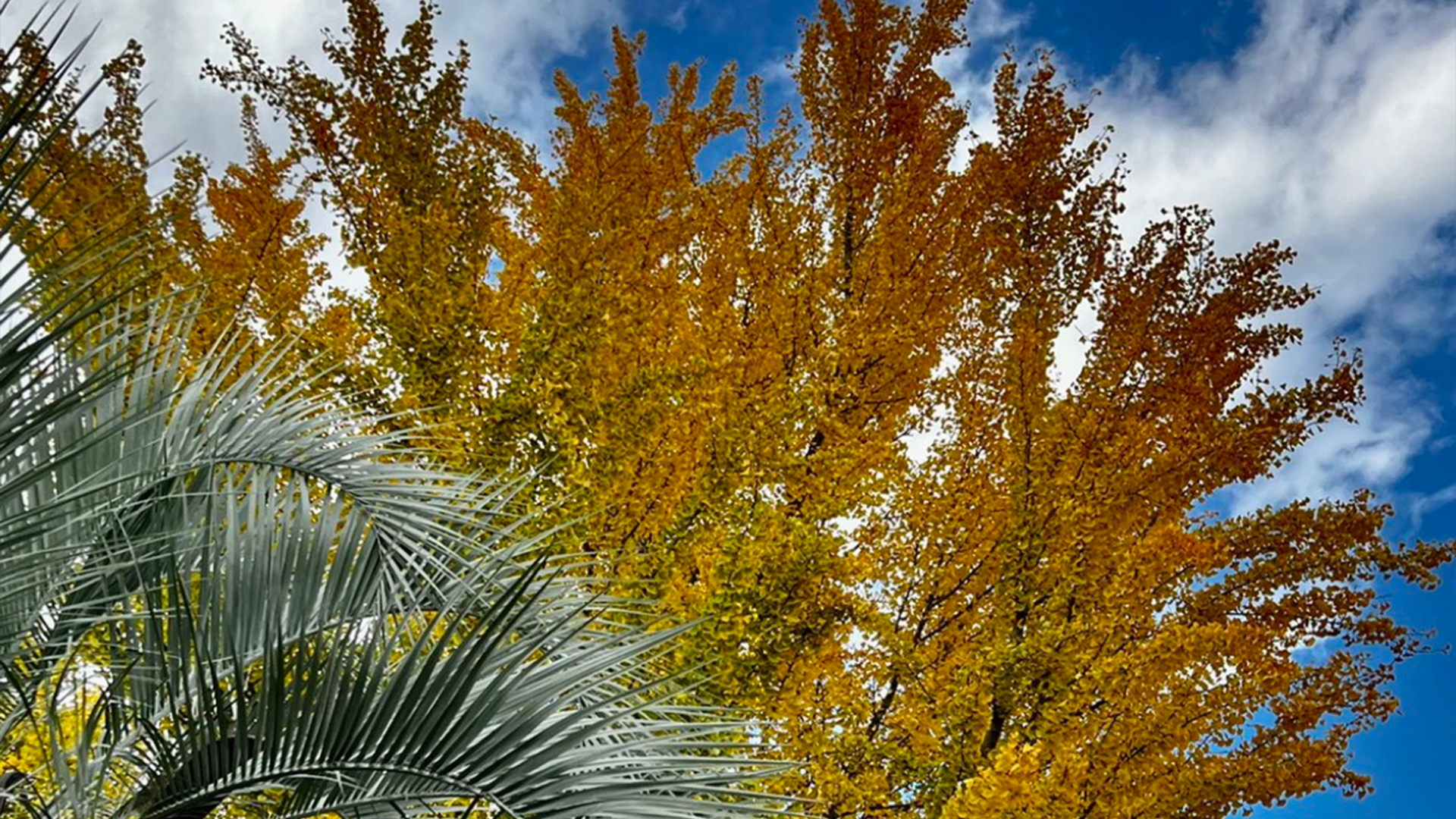 MicrosoftTeams-image (13).png