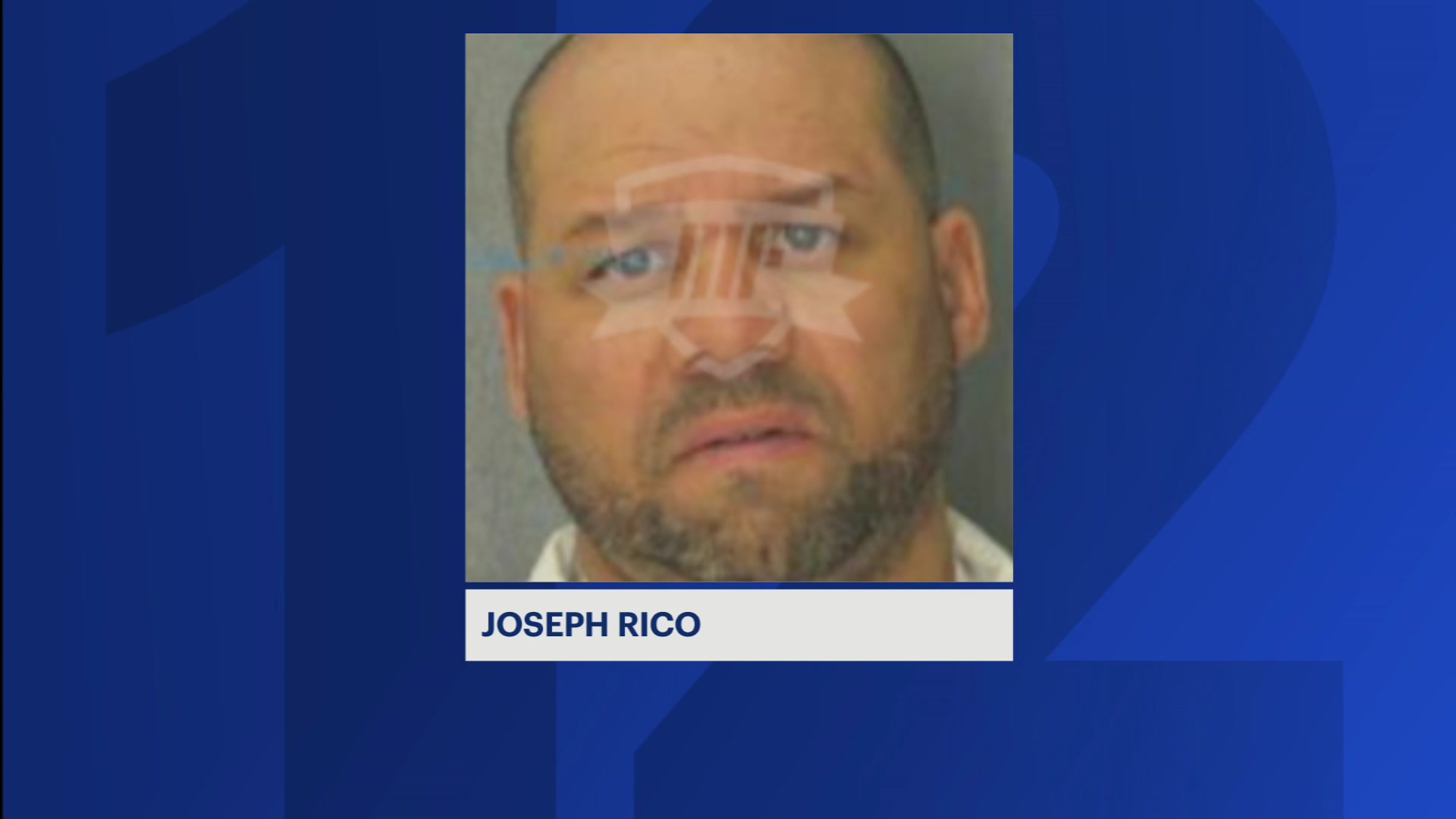 News 12 | Bronx | Ex Convict On Parole For Murder Arrested For Violent ...